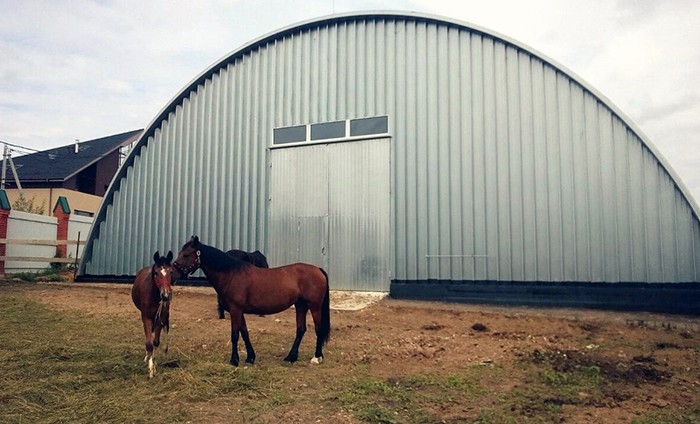 Строительство конных и конноспортивных манежей в Докучаевске и по России